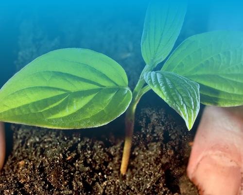 Sitio web corporativo