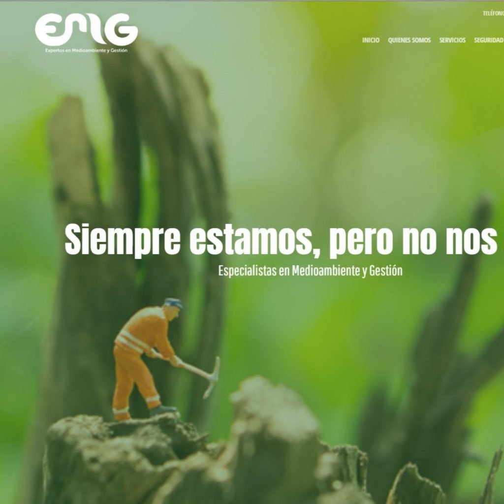 EMG Servicios, Diseño y Desarrollo de Sitio Web, Marketing Digital, Branding, Gestión de Redes Sociales