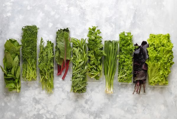 Making Off Calidad Verde