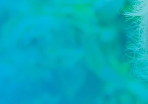 Ecogestión Branding, SEO, Sitio Web, Marketing Digital, Gestión de redes sociales