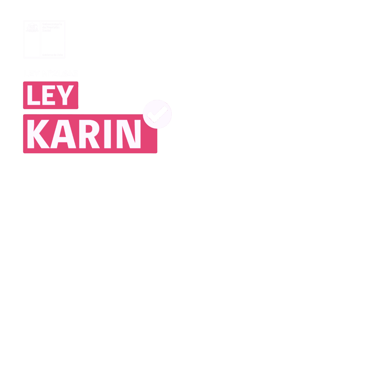 ley karin