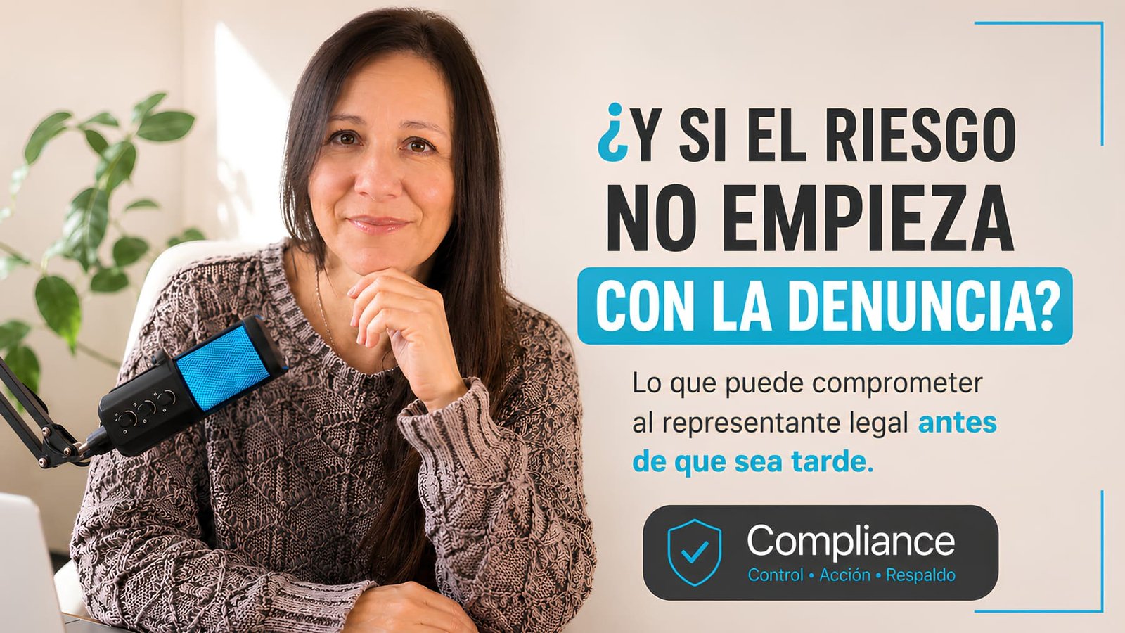 Compliance que es, Sistemas de Compliance